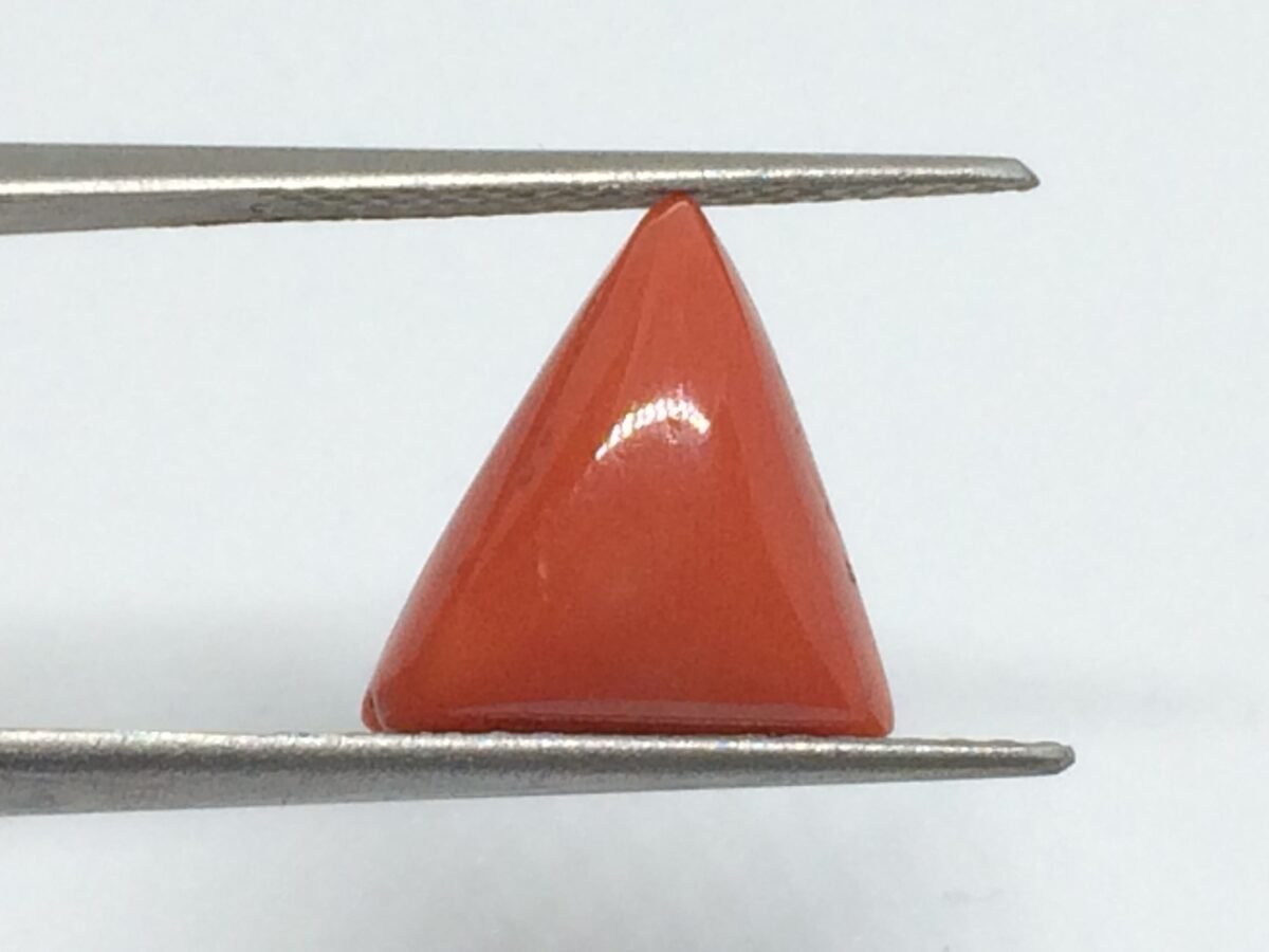 5.8 Carats Red Coral ( 6.44 Ratti Moonga ) 4