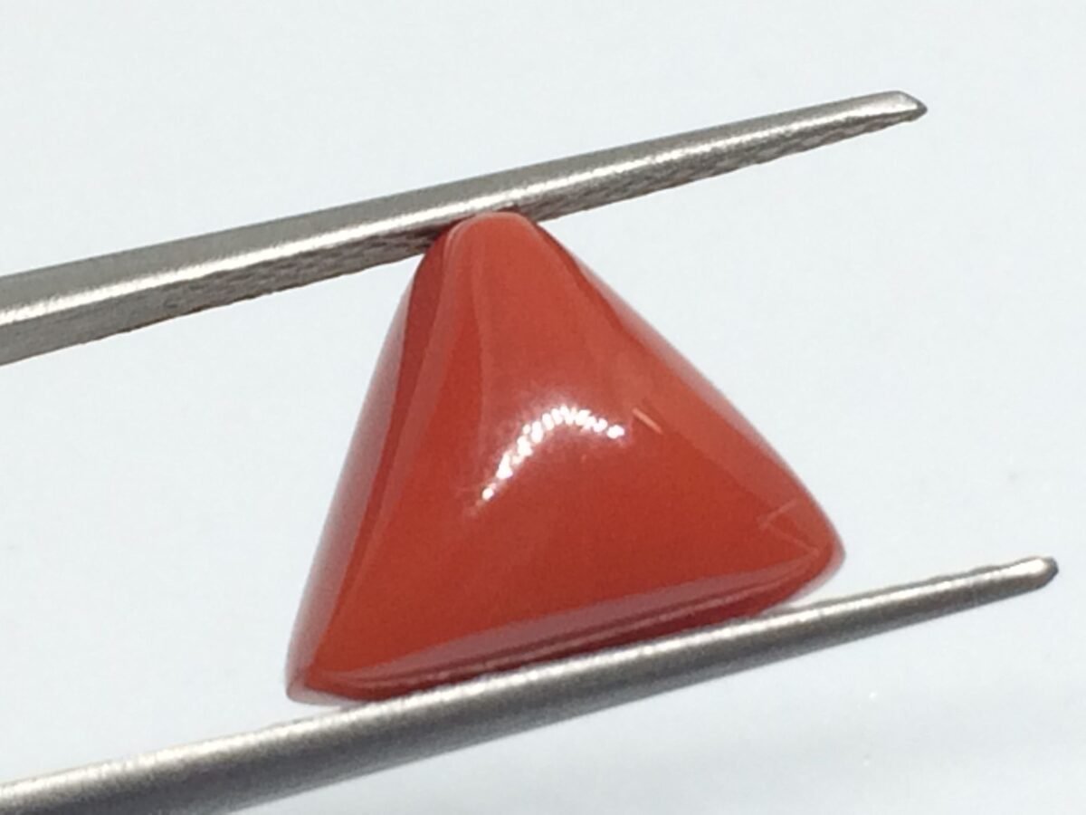 7.17 Carats Red Coral ( 7.97 Ratti Moonga ) 1