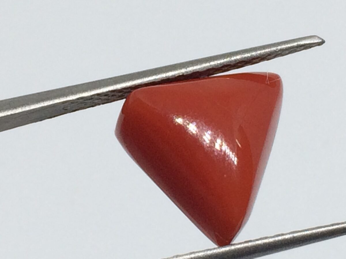 7.17 Carats Red Coral ( 7.97 Ratti Moonga ) 2