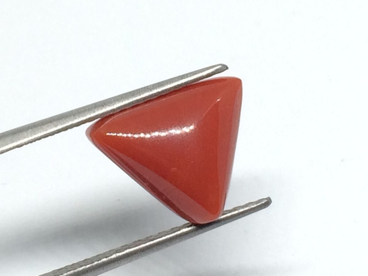 7.17 Carats Red Coral ( 7.97 Ratti Moonga ) 3