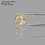 7.31 Carats Yellow Sapphire ( 8.12 Ratti Pukhraj )