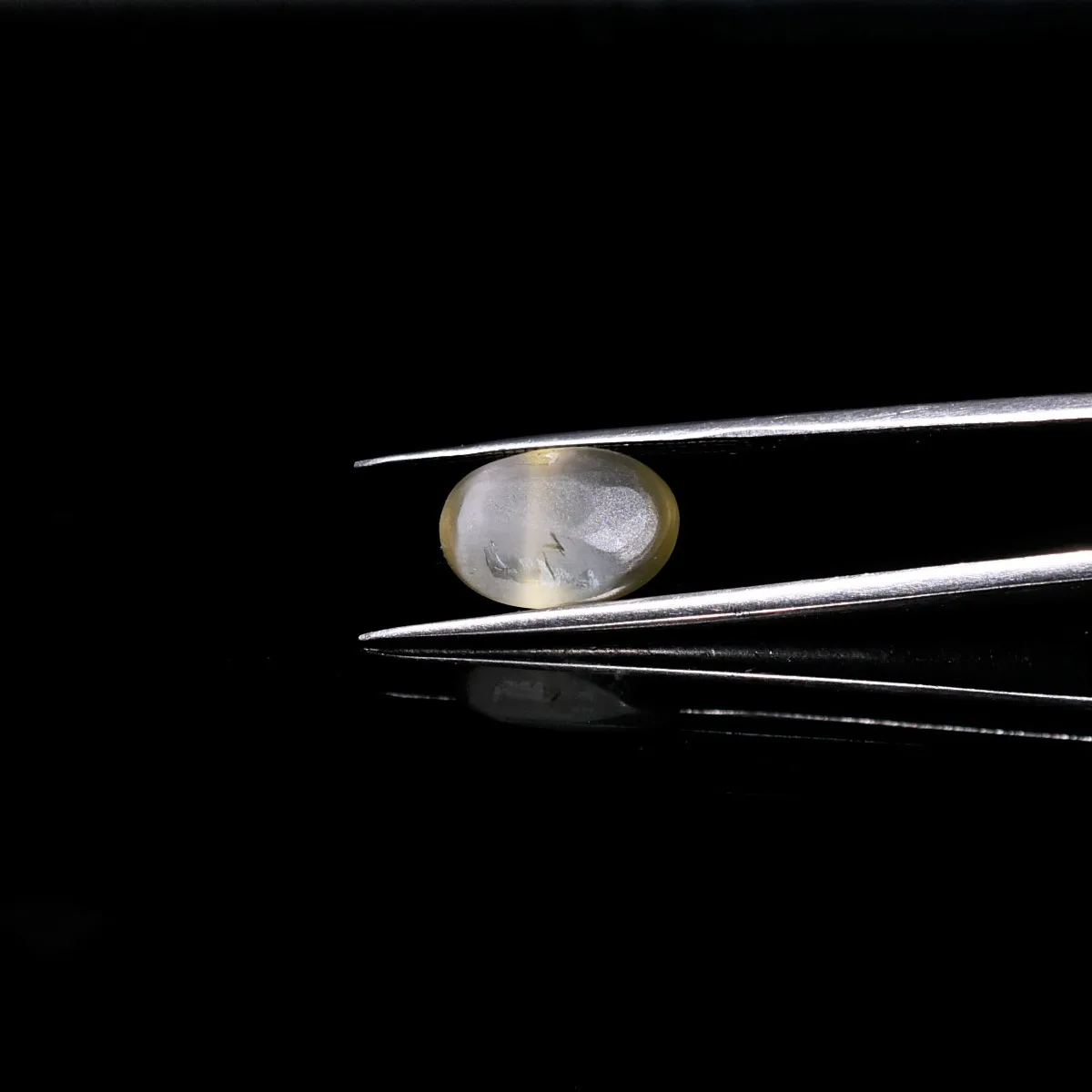 7.3 Carats Sillimanite Cat's Eye ( 8.11 Ratti Lehsunia ) 3