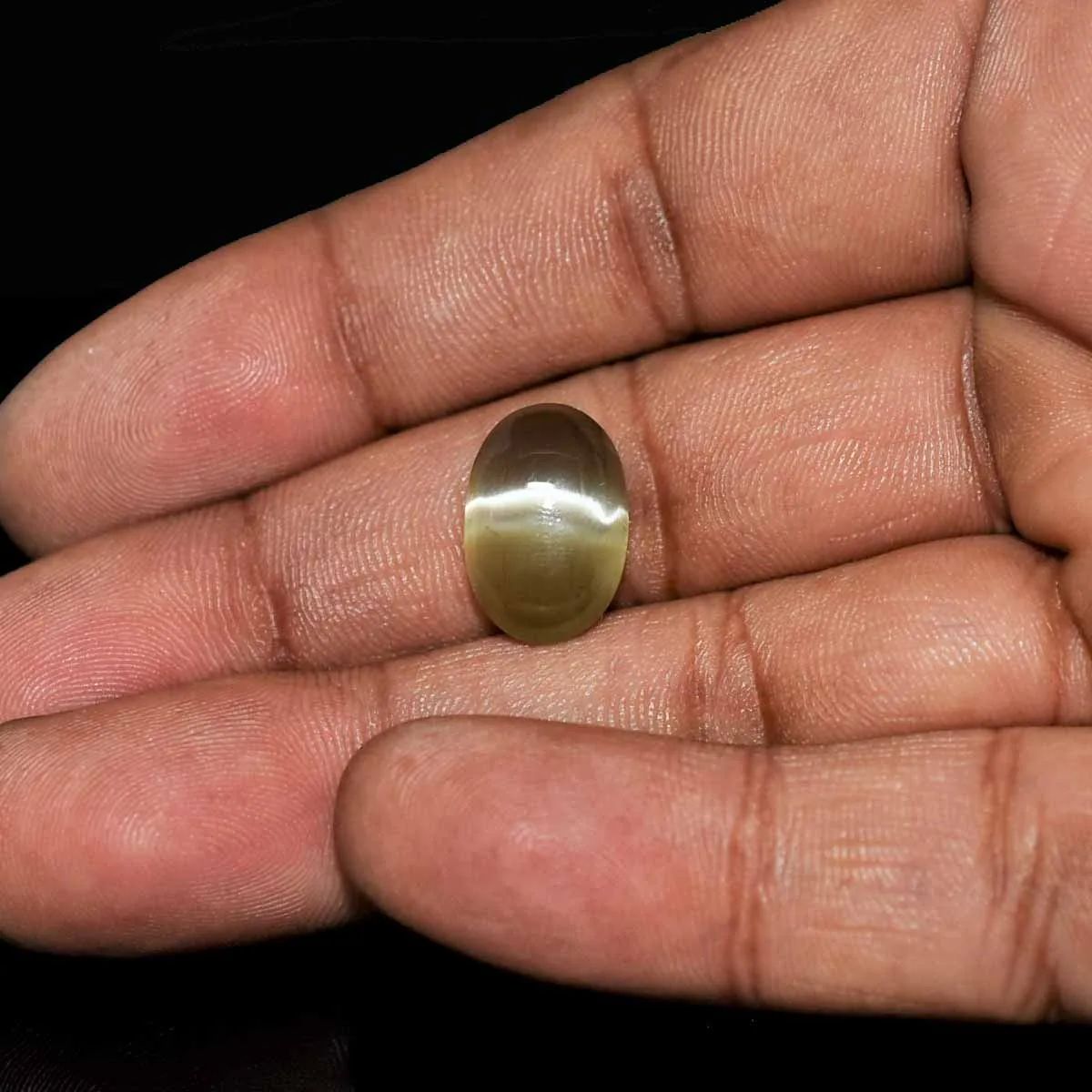 7.3 Carats Sillimanite Cat's Eye ( 8.11 Ratti Lehsunia ) 5