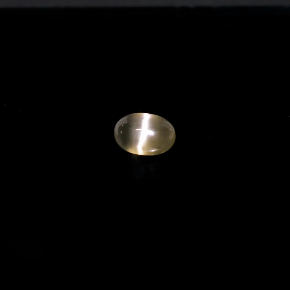 7.3 Carats Sillimanite Cat's Eye ( 8.11 Ratti Lehsunia ) 6