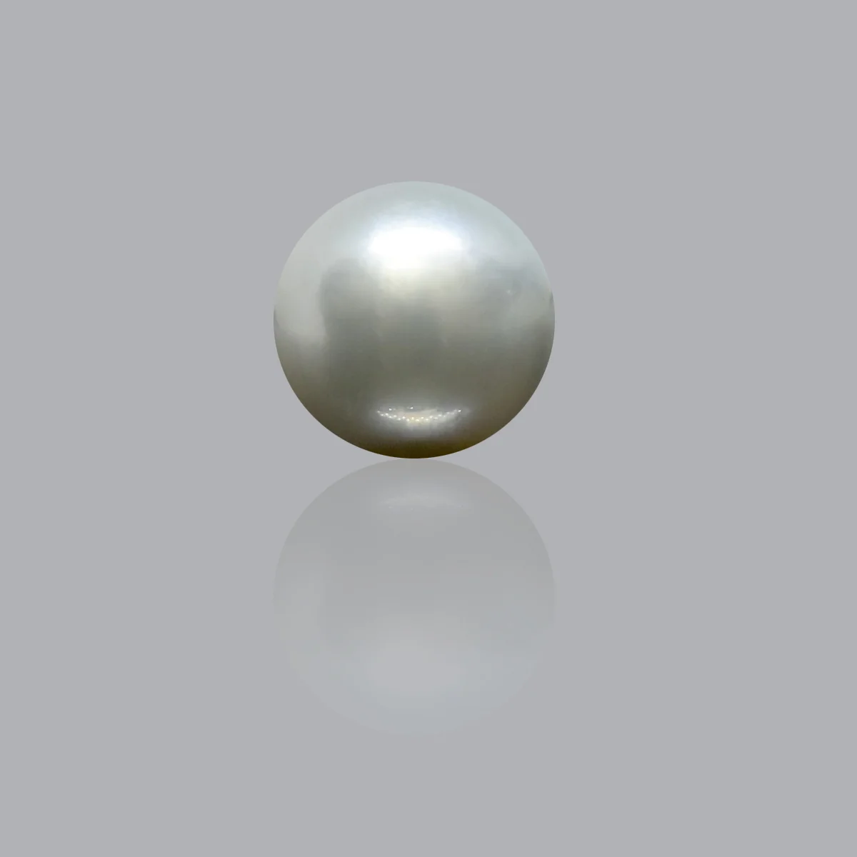 12.33 Carats South Sea Pearl ( 13.7 Ratti Moti ) 1