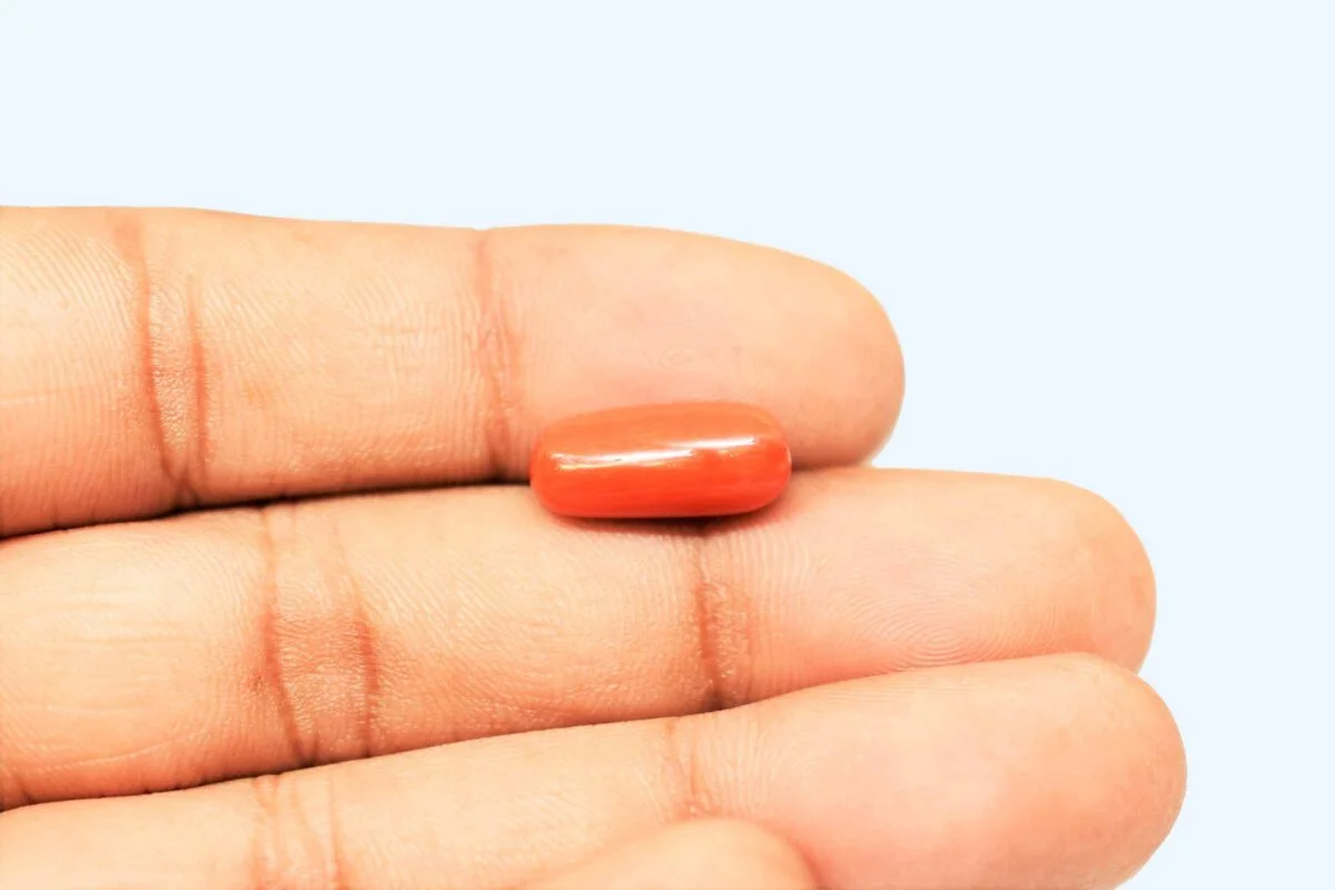 4.77 Carats Red Coral ( 5.3 Ratti Moonga ) 3