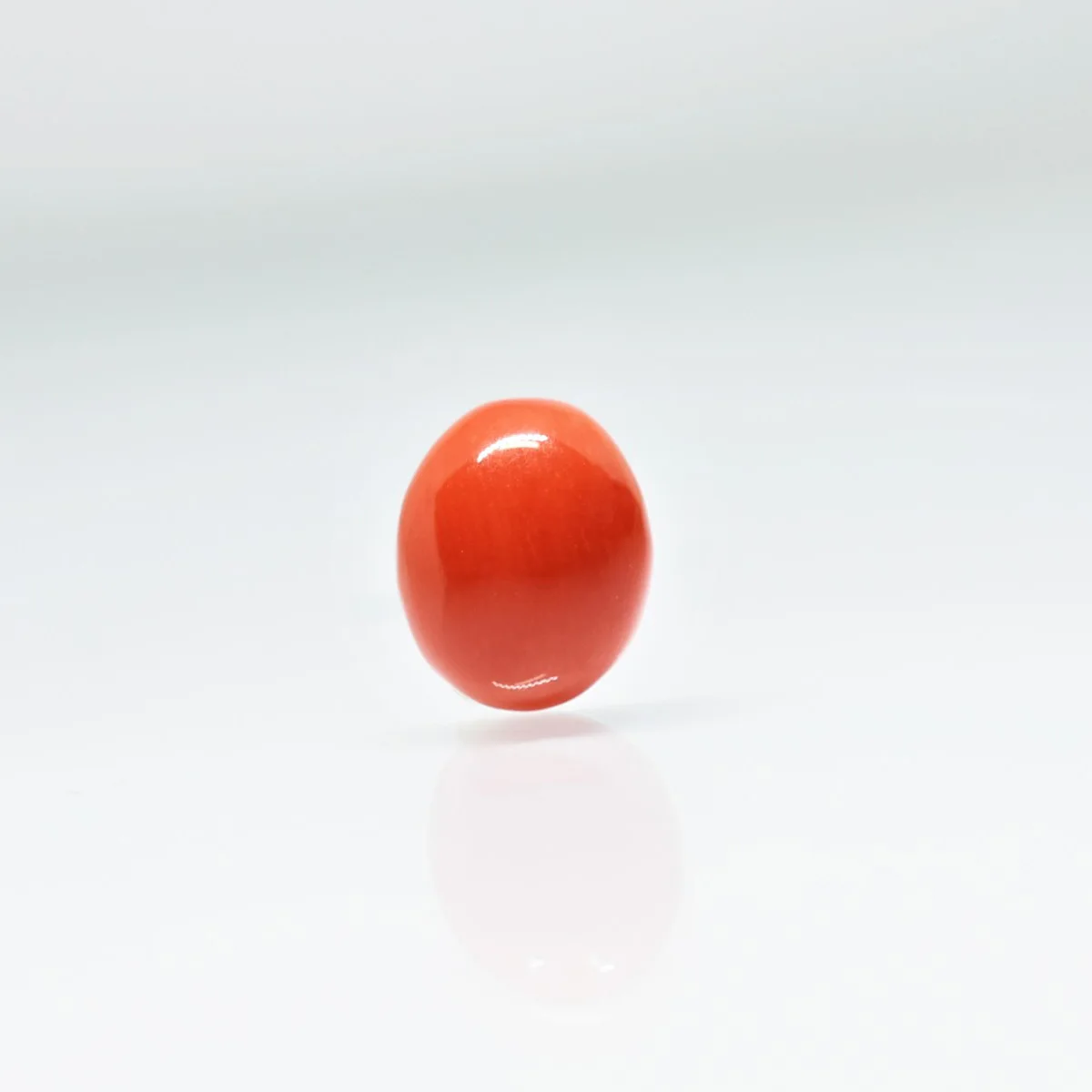 2.85 Carats Red Coral ( 3.17 Ratti Moonga ) 1