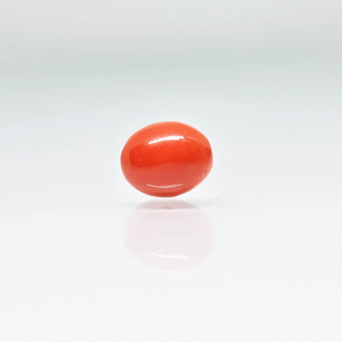 2.85 Carats Red Coral ( 3.17 Ratti Moonga ) 3