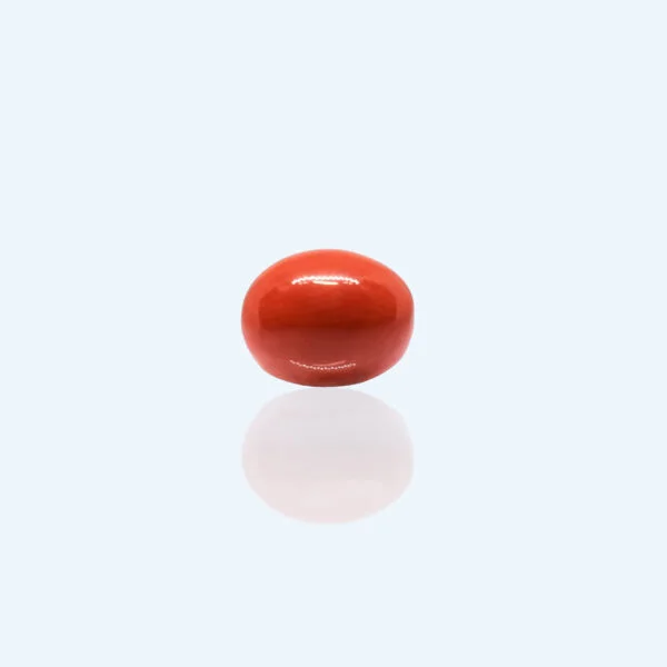 2.9 Carats Red Coral ( 3.22 Ratti Moonga )