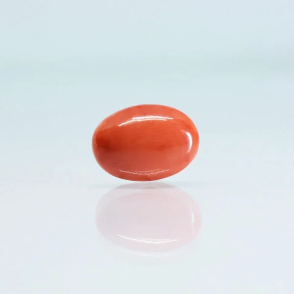 5.16 Carats Red Coral ( 5.73 Ratti Moonga )