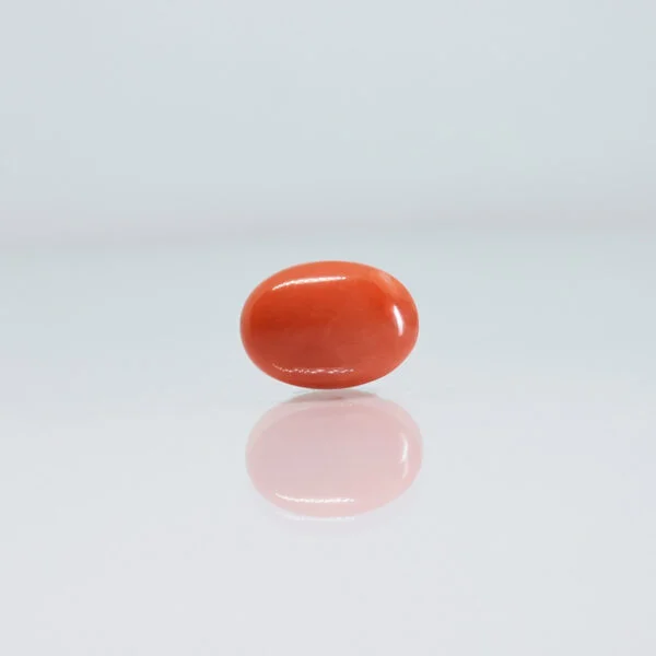 5.51 Carats Red Coral ( 6.12 Ratti Moonga )