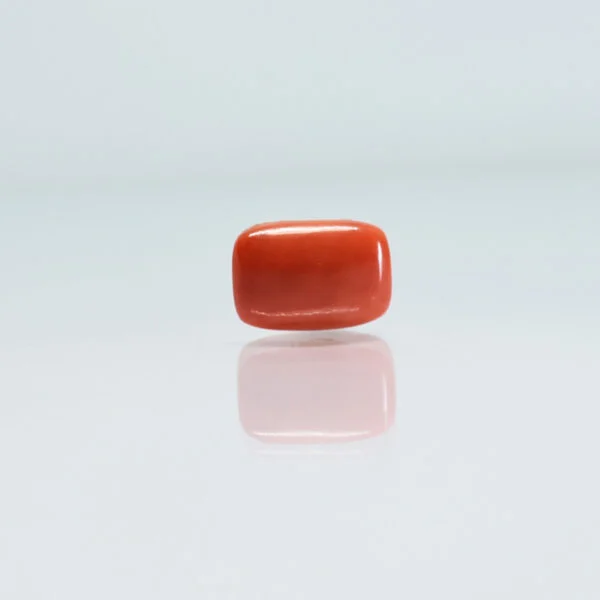 4.67 Carats Red Coral ( 5.19 Ratti Moonga )